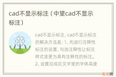 中望cad不显示标注 cad不显示标注