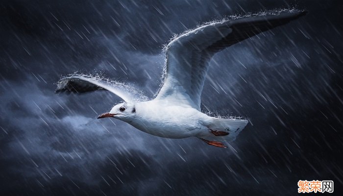 暴雨的说说发朋友圈 下暴雨怎么发朋友圈