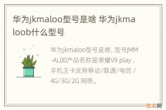 华为jkmaloo型号是啥 华为jkmaloob什么型号