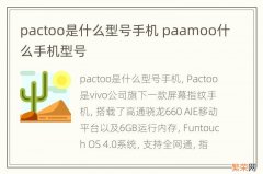 pactoo是什么型号手机 paamoo什么手机型号