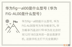 华为FIG-AL00是什么型号 华为fig一al00是什么型号