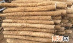 山药品种怎么区分 山药品种区分方法