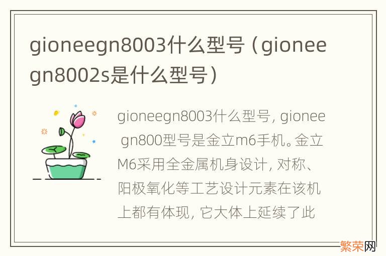 gioneegn8002s是什么型号 gioneegn8003什么型号