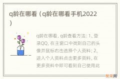 q龄在哪看手机2022 q龄在哪看