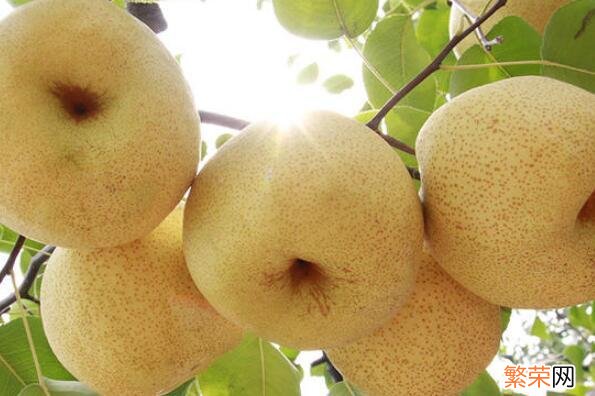 你知道安徽前10大特产有哪些吗 安徽省十大特产是什么