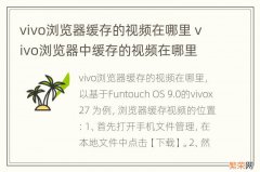 vivo浏览器缓存的视频在哪里 vivo浏览器中缓存的视频在哪里