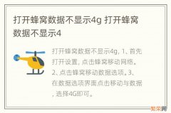 打开蜂窝数据不显示4g 打开蜂窝数据不显示4