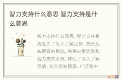 智力支持什么意思 智力支持是什么意思