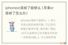 苹果xr漆掉了怎么办 iphonexr漆掉了能修么