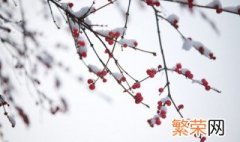 小雪吃糍粑是什么意思 小雪吃糍粑意思是什么