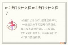 m2接口长什么样 m2接口长什么样子