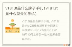 v1813t是什么型号的手机 v1813t是什么牌子手机