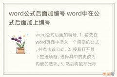 word公式后面加编号 word中在公式后面加上编号