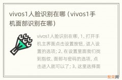 vivos1手机面部识别在哪 vivos1人脸识别在哪