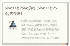 vivos1有256g内存吗 vivos1有256g的吗