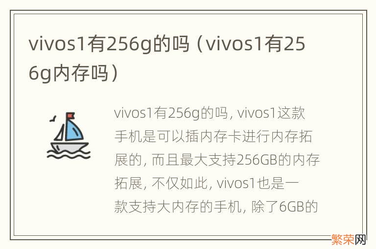 vivos1有256g内存吗 vivos1有256g的吗