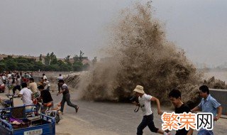 鬼王潮是什么意思 鬼王潮产生原因介绍