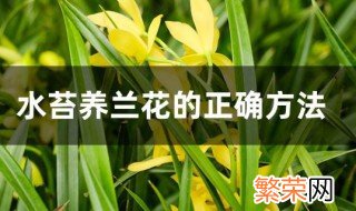 水苔养兰花的正确方法 水苔养兰花怎么养