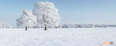 十毫米雪多大 10毫米雪是多大