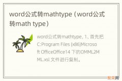 word公式转math type word公式转mathtype