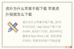 虎扑为什么苹果不能下载 苹果虎扑视频怎么下载