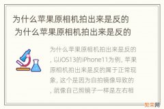 为什么苹果原相机拍出来是反的 为什么苹果原相机拍出来是反的怎么办