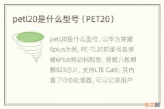 PET20 petl20是什么型号