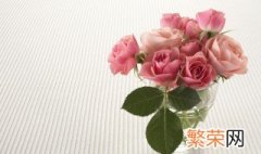 手工制作盆栽玫瑰花的养殖方法 盆栽种植玫瑰应该如何养植