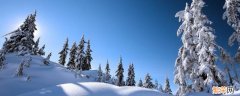 下雪时撒盐还是下雪后撒盐 下雪前撒盐还是下雪后撒盐