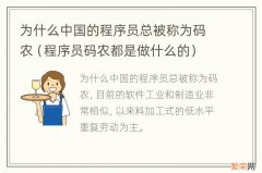 程序员码农都是做什么的 为什么中国的程序员总被称为码农