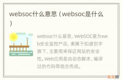 websoc是什么 websoc什么意思