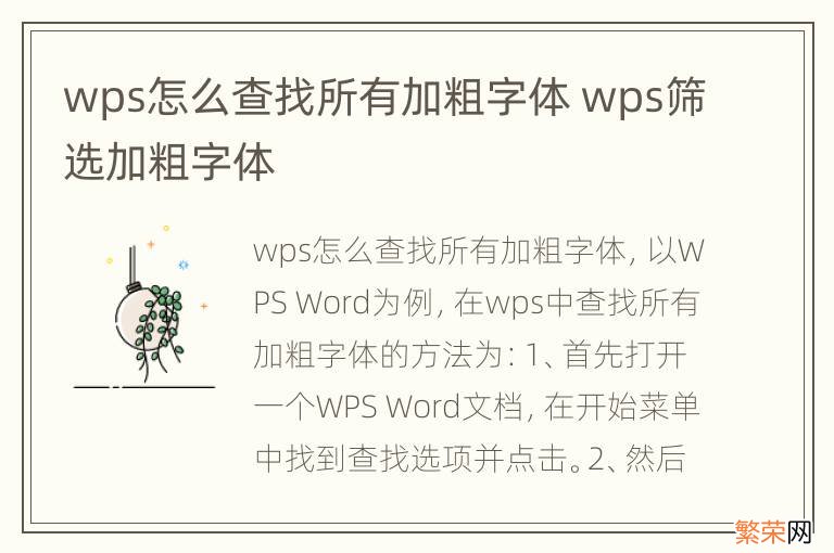 wps怎么查找所有加粗字体 wps筛选加粗字体