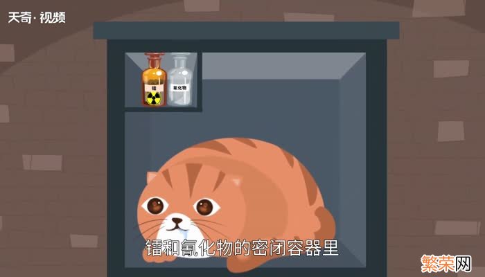 薛定谔的猫是什么意思 薛定谔的猫什么意思