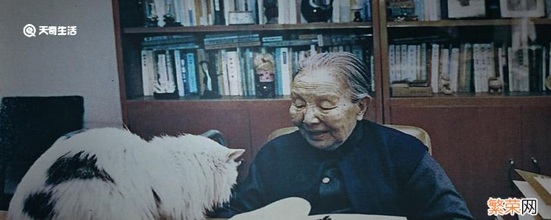 冰心的原名 冰心的原名是什么