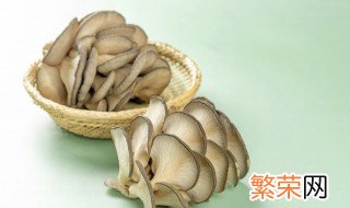 平菇煮熟后隔夜能吃吗 平菇煮熟后隔夜能不能吃