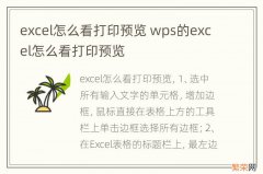 excel怎么看打印预览 wps的excel怎么看打印预览