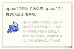 oppor17进水了怎么办 oppor17手机进水后无法开机