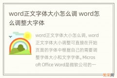 word正文字体大小怎么调 word怎么调整大字体