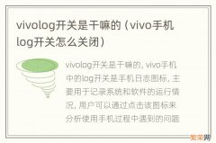 vivo手机log开关怎么关闭 vivolog开关是干嘛的