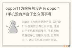 oppor11为啥突然没声音 oppor11手机没有声音了怎么回事啊