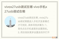 vivox27usb调试在哪 vivo手机x27usb调试在哪