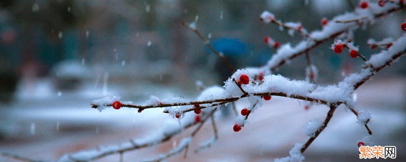 小雪大雪又一年还是大寒小寒又一年 小雪大雪又一年对吗