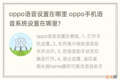 oppo语音设置在哪里 oppo手机语音系统设置在哪里?