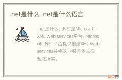 .net是什么 .net是什么语言