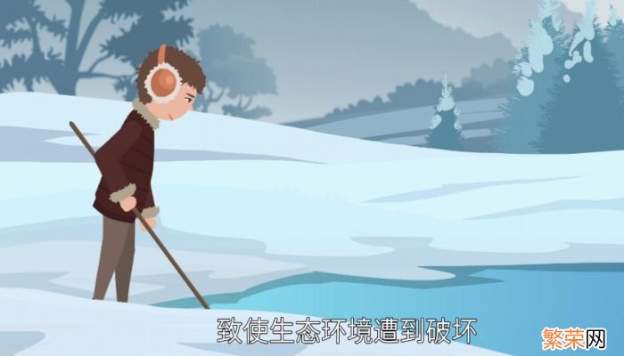 雪蛤是什么什么是雪蛤