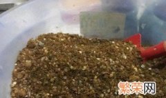 多菌灵直接拌花土里可以吗? 多菌灵能直接拌花土吗