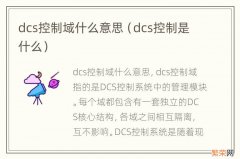 dcs控制是什么 dcs控制域什么意思