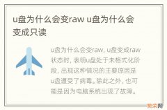 u盘为什么会变raw u盘为什么会变成只读