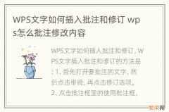 WPS文字如何插入批注和修订 wps怎么批注修改内容