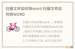 扫描文件如何转word 扫描文件如何转WORD